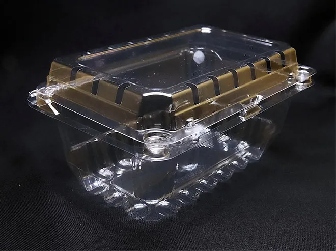 Custom Thermoforming Solutions Tailored to Your Needs by INPAK - İnpak Makine ile İhtiyacınıza Özel Termoform Çözümleri