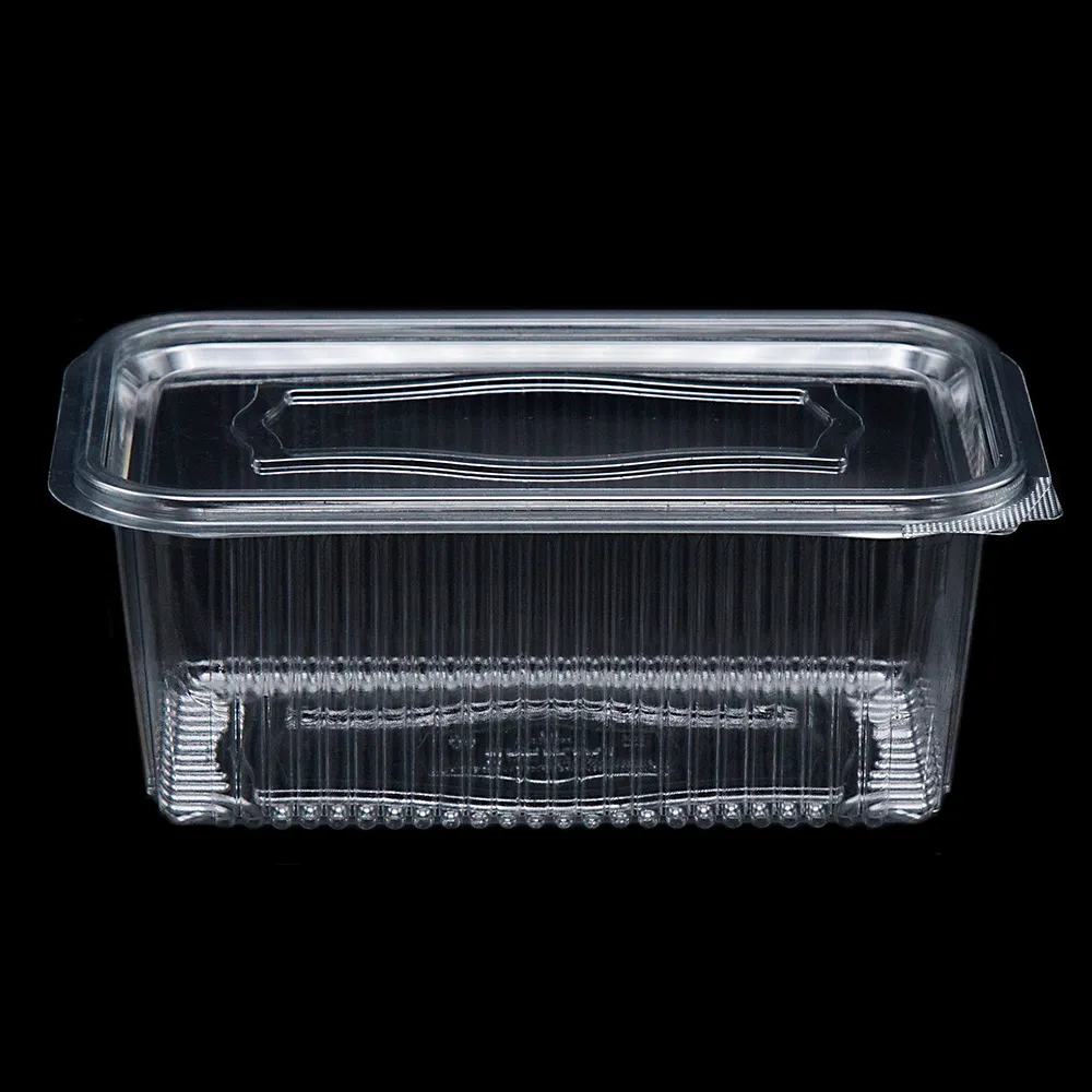 Packaging Thermoforming Technology Redefined by INPAK - INPAK Makine ile Yeniden Anlam Kazanan Ambalaj Termoform Teknolojisi