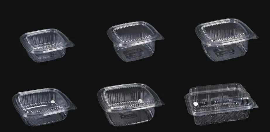 Packaging Thermoforming Technology Redefined by INPAK - INPAK Makine ile Yeniden Anlam Kazanan Ambalaj Termoform Teknolojisi