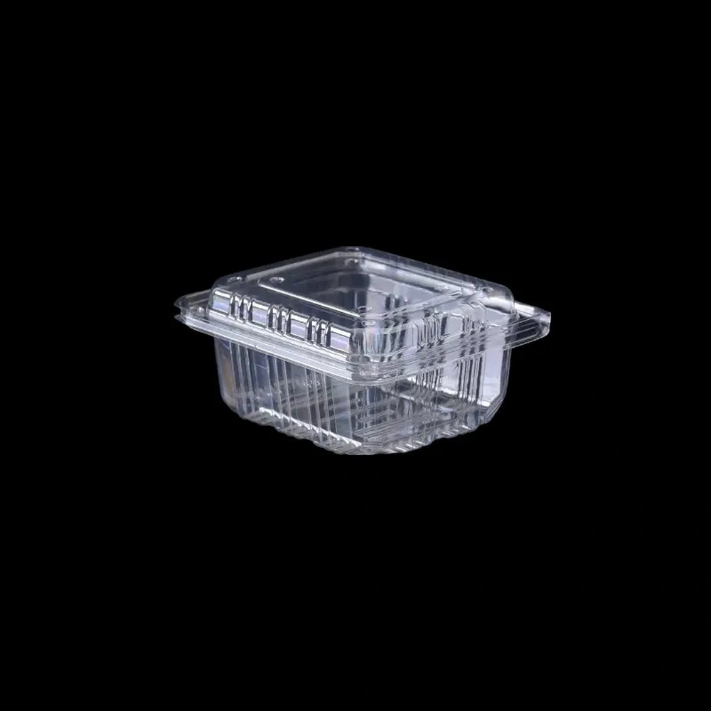 Advanced Plastic Thermoforming Equipment for Modern Packaging Needs