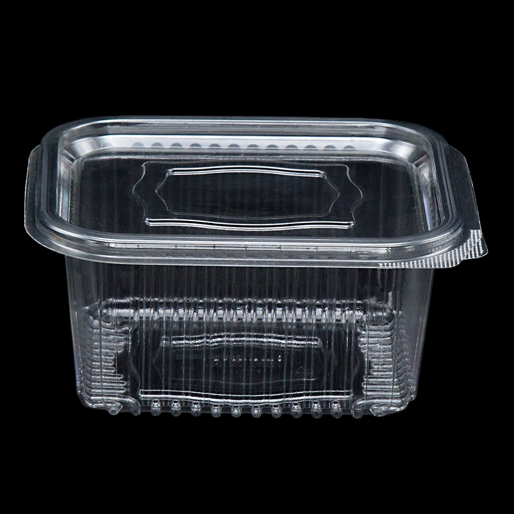 INPAK - Thermoform Plastic Packaging for High-Volume and Hygienic Production