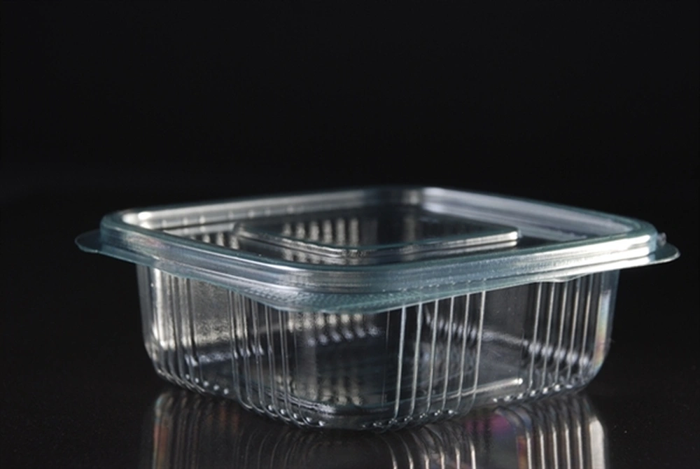 INPAK - Thermoform Plastic Packaging for High-Volume and Hygienic Production