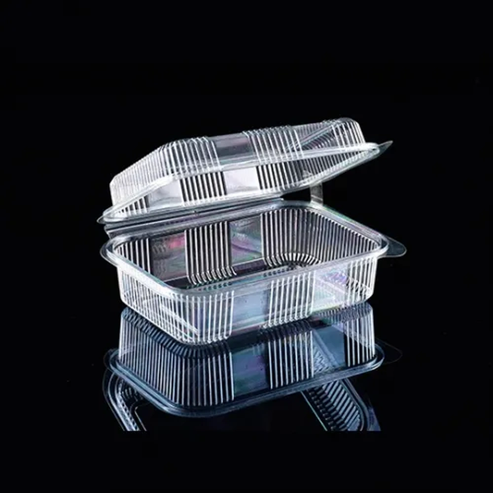 Industrial Plastic Food Packaging Solutions Powered by Advanced INPAK Thermoforming Machines